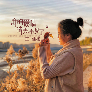 微勃破解版官方网入口
